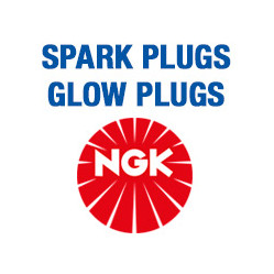 Category image for Plugs & Glow Plugs